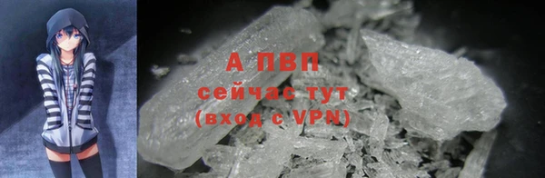 ECSTASY Армянск