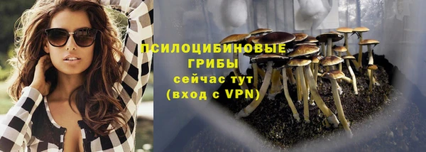 2c-b Арсеньев