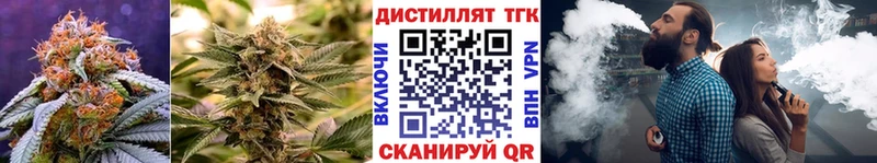Дистиллят ТГК концентрат Карасук
